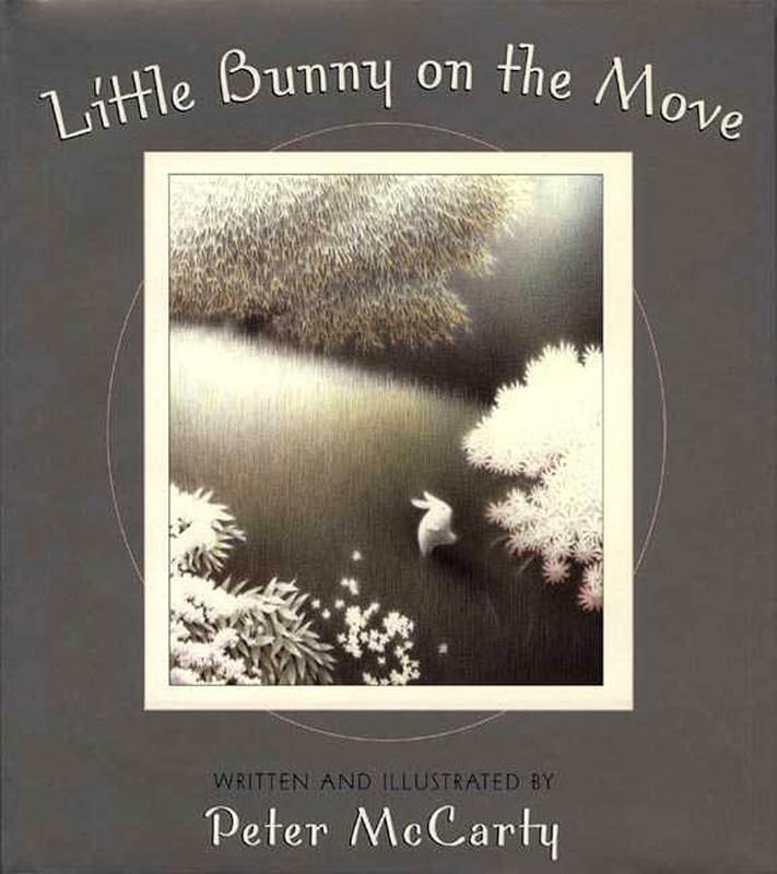 Little Bunny on the Move (An Owlet Book) by Peter McCarty