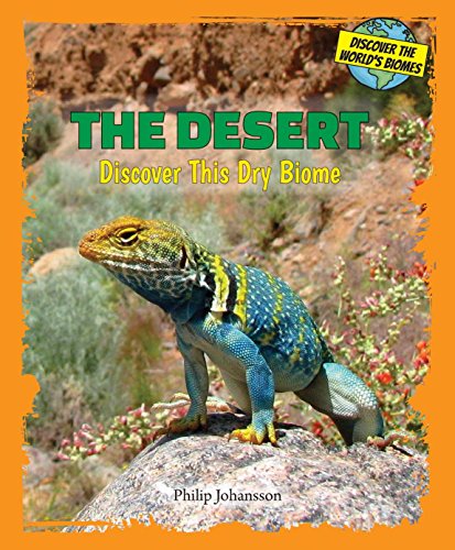 The desert : discover this dry biome by Philip Johansson