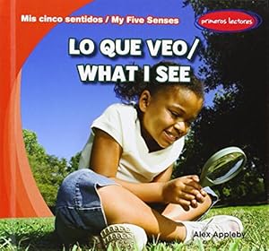 Lo Que Veo / What I See