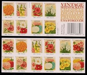 [Name] - [Product ID]