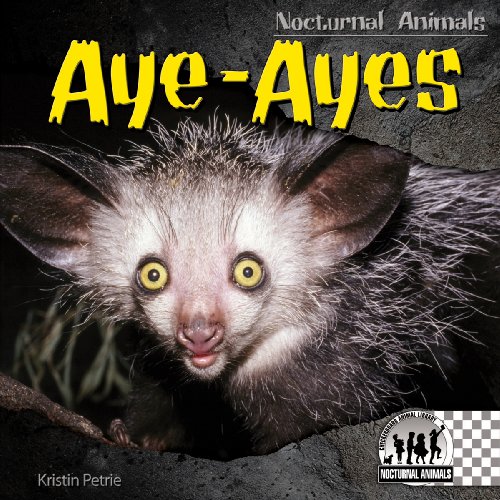 Aye-Ayes by Kristin Petrie