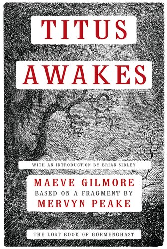 Titus Awakes: A Novel by Maeve Gilmore