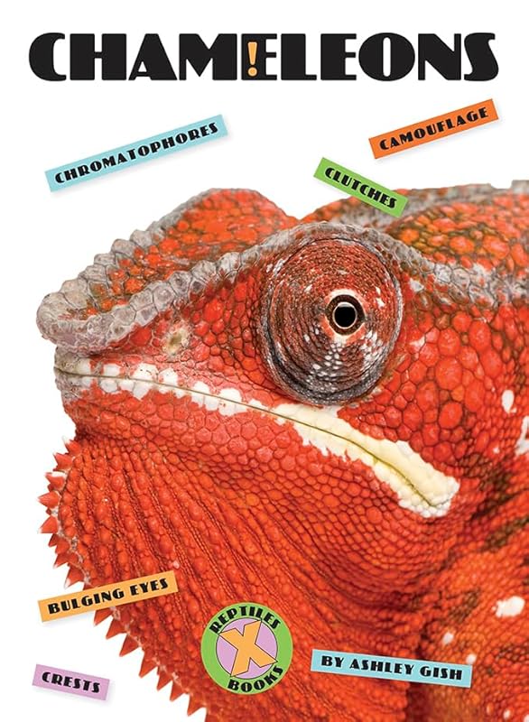 Chameleons by Ashley Gish
