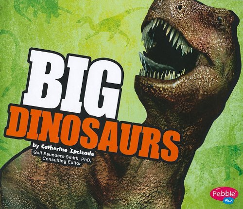 BIG Dinosaurs by Catherine Ipcizade