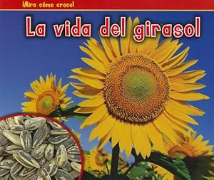 La vida del girasol