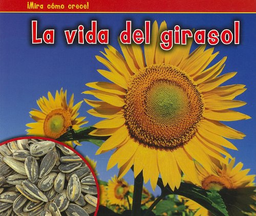 La vida del girasol by Nancy Dickmann