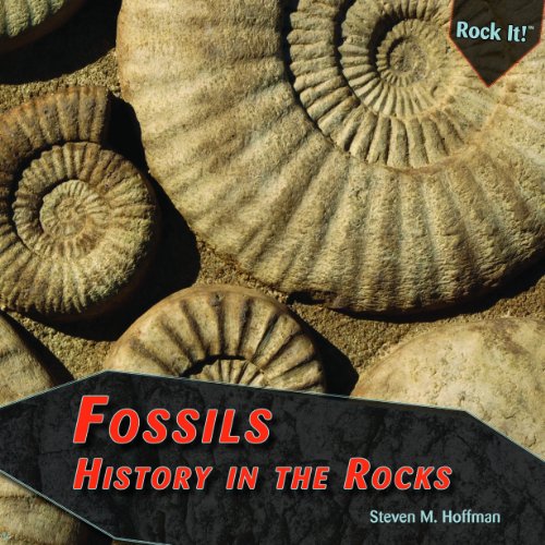 Fossils: History in the Rocks by Steven M. Hoffman
