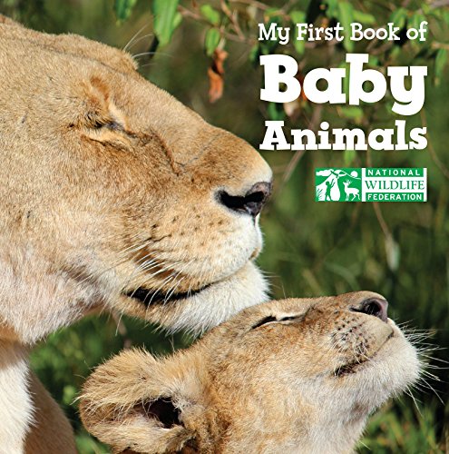 My First Book of Baby Animals by National Wildlife Federation