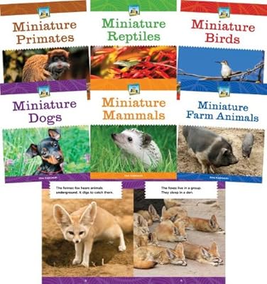 Mini Animal Marvels