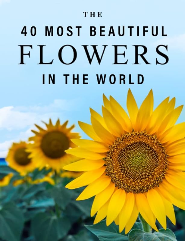 The 40 Most Beautiful Flowers in the World: A full color picture book for Seniors with Alzheimer's or Dementia (The "Most Beautiful World" Series) by Blue Clover Books