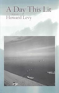 A Day This Lit by Howard Levy
