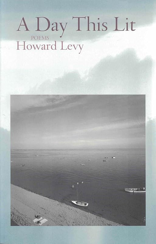 A Day This Lit by Howard Levy