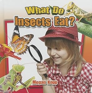 What do insects eat?