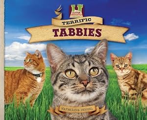 Terrific Tabbies
