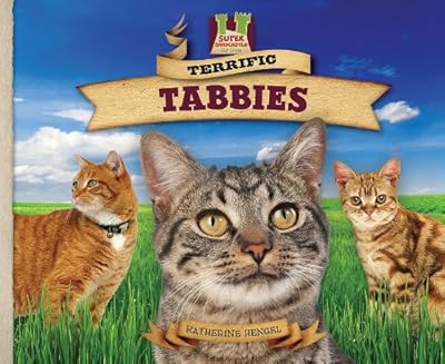 Terrific Tabbies