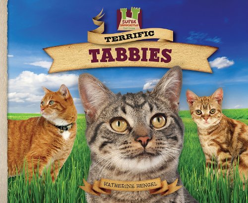 Terrific Tabbies by Katherine Hengel