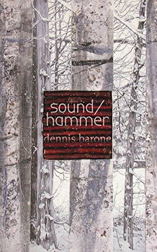 Sound/Hammer by Dennis Barone