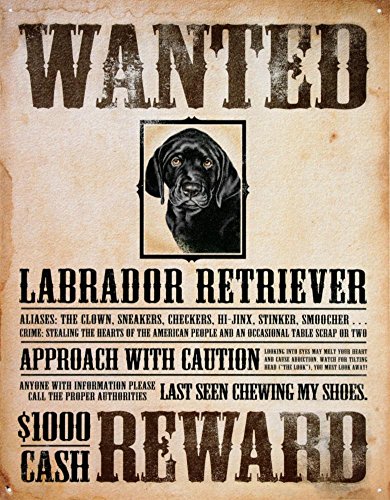 Algopix Similar Product 20 - Black Lab  Wanted Poster Metal Tin