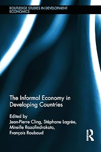 The Informal Economy in Developing Countries (Routledge Studies in Development Economics)