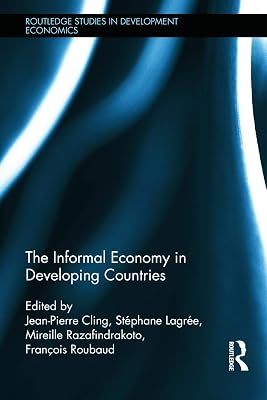 The Informal Economy in Developing Countries (Routledge Studies in Development Economics)
