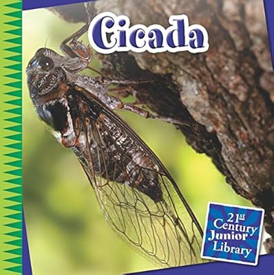 Cicada
