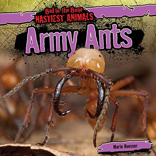 Army Ants by Marie Roesser