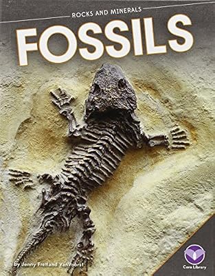 Fossils