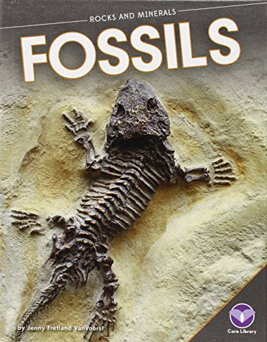 Fossils by Jennifer Fretland VanVoorst