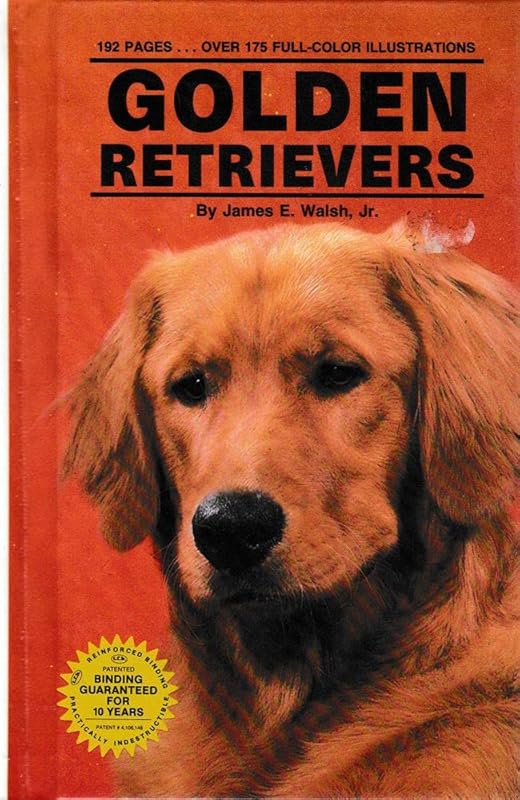 Golden Retrievers (Kw-067) by James E. Walsh Jr.