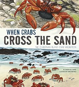 When Crabs Cross the Sand: The Christmas Island Crab Migration