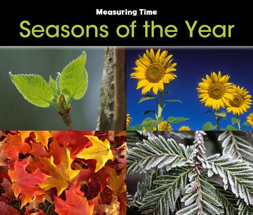Seasons of the Year by Tracey Steffora