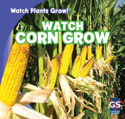 Watch Corn Grow by Kristen Rajczak