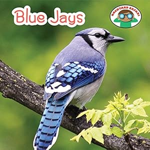Blue Jays