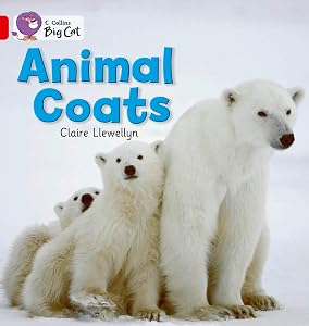 Animal Coats Workbook (Collins Big Cat)