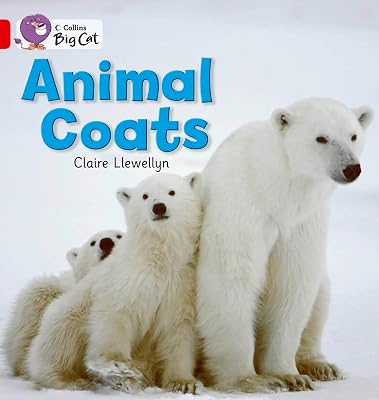 Animal Coats Workbook (Collins Big Cat)