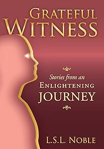 Grateful Witness: Stories from an Enlightening Journey by L S L Noble