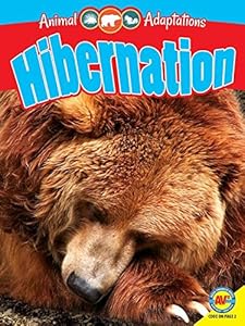 Hibernation