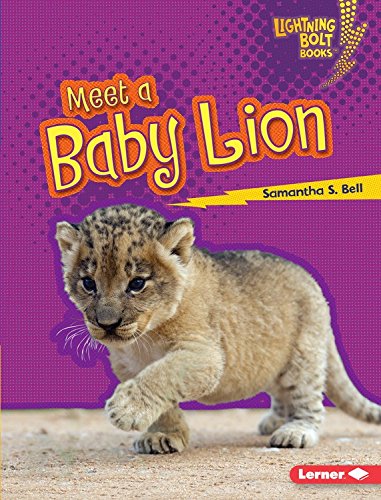 Meet a Baby Lion by Samantha Bell