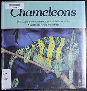 Chameleons (A Carolrhoda Nature Watch Book) (English and German Edition) by Claudia Schnieper