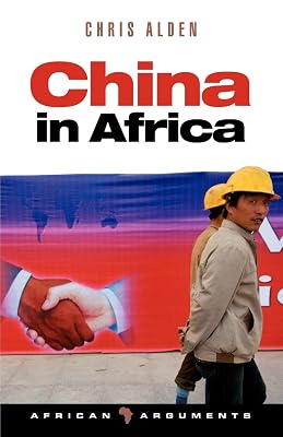 China in Africa (African Arguments)