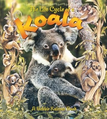 Koala (Life Cycle of A...)