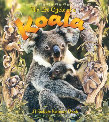 Koala (Life Cycle of A...) by Bobbie Kalman