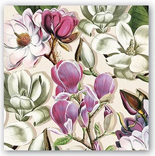 Algopix Similar Product 20 - 