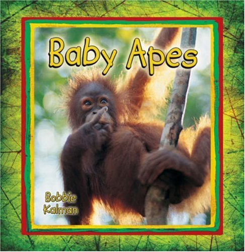 Baby Apes (It's Fun to Learn about Baby Animals) by Bobbie Kalman