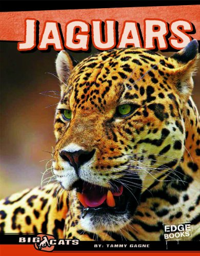 Jaguars by Tammy Gagne
