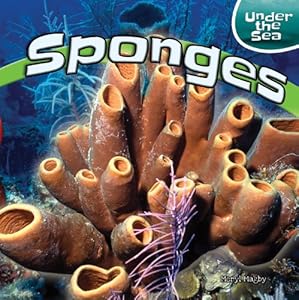 Sponges