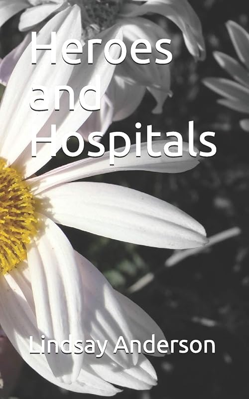 Heroes and Hospitals (Freya Dallas) by Lindsay Anderson