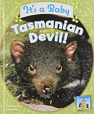 It's a baby Tasmanian devil!