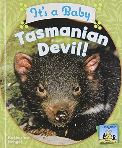 It's a baby Tasmanian devil! by Katherine Hengel