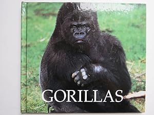 Gorillas